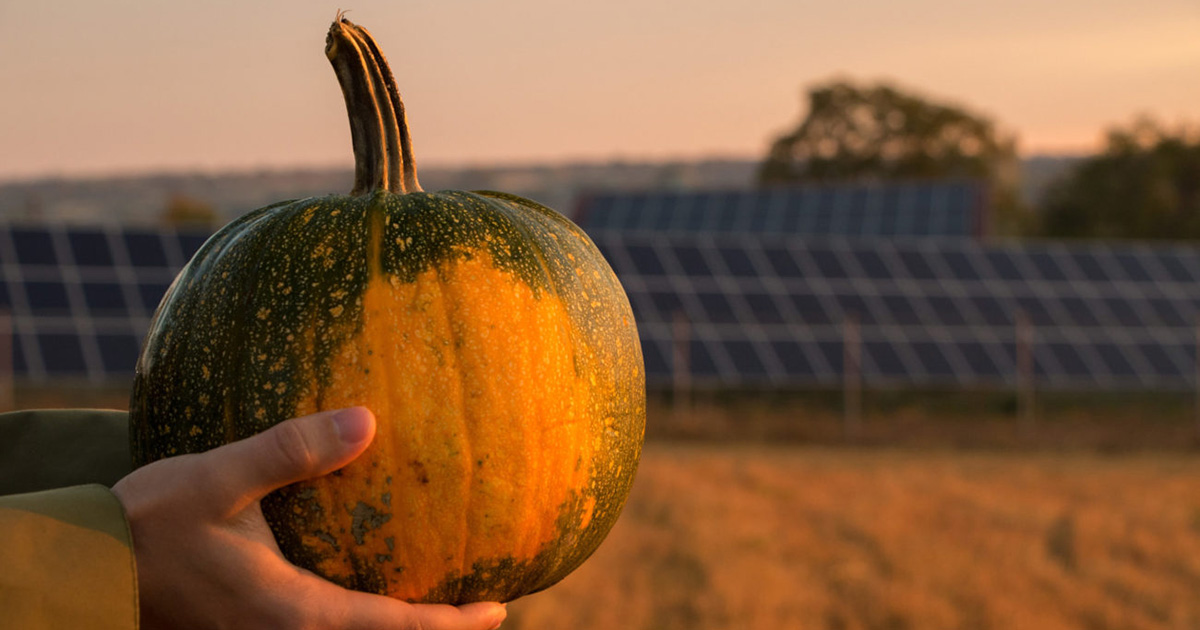 A Solar Thanksgiving: 3 Reasons Our Coachella Valley Solar Experts are Grateful for Solar