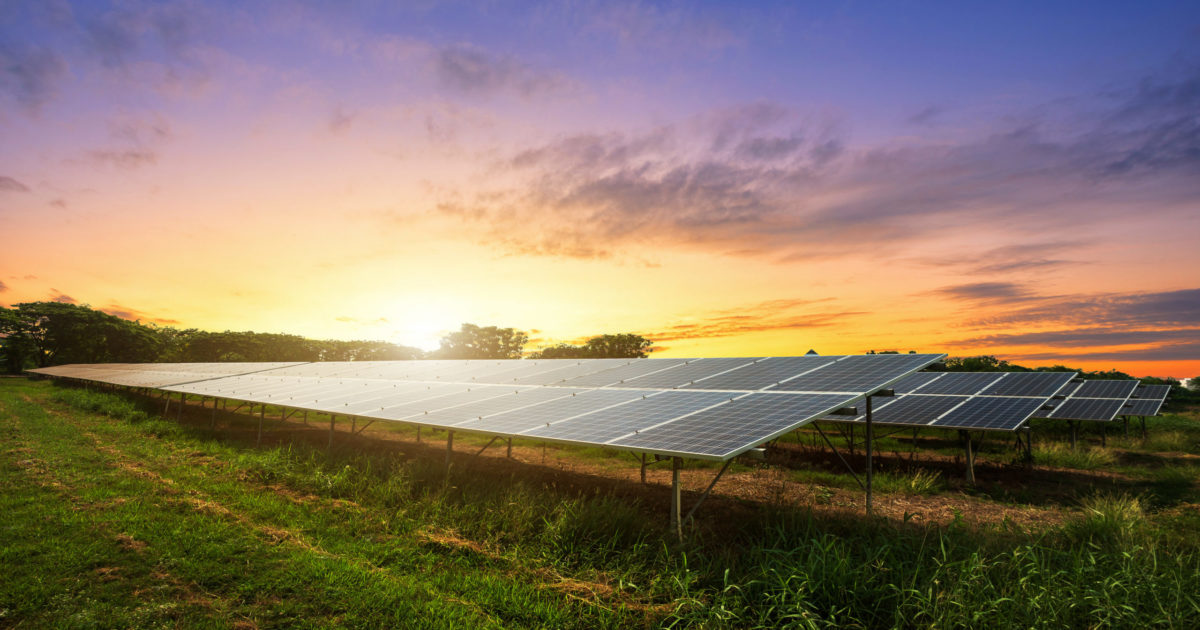 What Are Solar Farms and What Purpose Do They Serve?